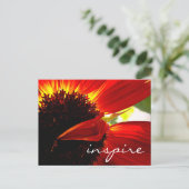 Red Gerbera Daisy Blume Inspirierte Script Modern Postkarte (Stehend Vorderseite)