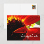 Red Gerbera Daisy Blume Inspirierte Script Modern Postkarte (Vorne/Hinten)