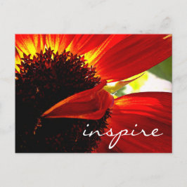 Red Gerbera Daisy Blume Inspirierte Script Modern Postkarte
