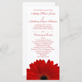 Red Gerbera Daisy Blume White Wedding Program Programm (Vorne/Hinten)