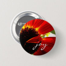 Red Gerbera Daisy Foto Joy Script Bold Modern