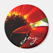 Red Gerbera Daisy Foto Joy Script Bold Modern Magnet (Vorne)