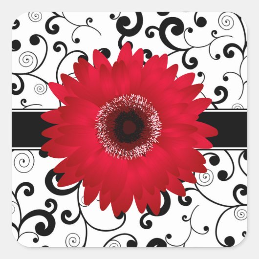 Red Gerbera Daisy mit Black Scroll Design Siegel Quadratischer Aufkleber (Vorderseite)