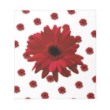 Red Gerbera Daisy Mother Day