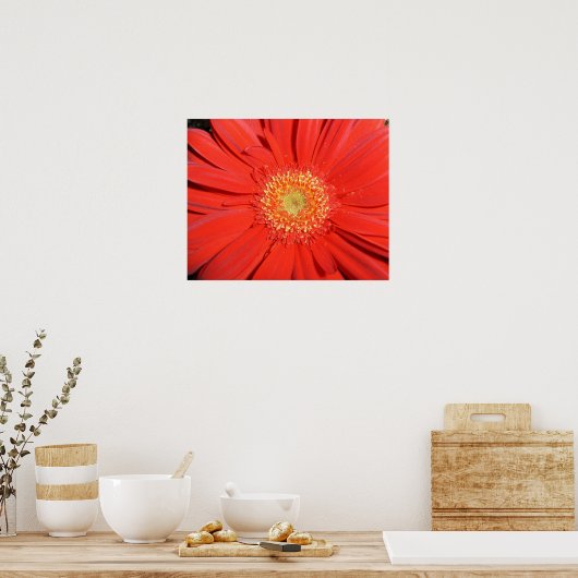 Red Gerbera Daisy Poster (Küche)