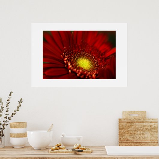 Red Gerbera Daisy Poster (Küche)