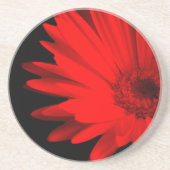 Red Gerbera Daisy Print Getränkeuntersetzer (Vorne)