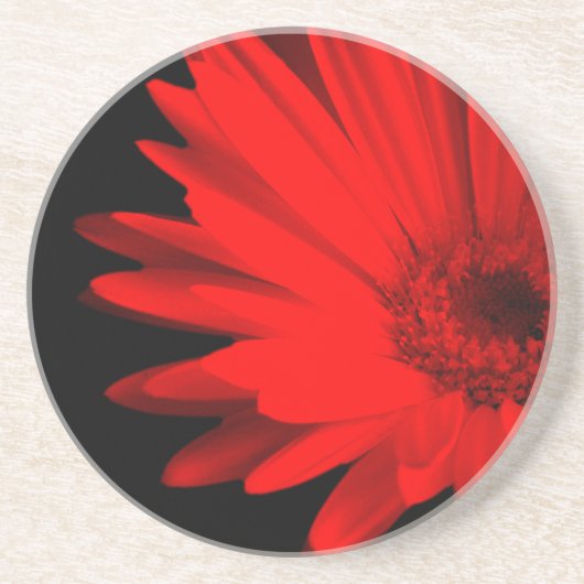 Red Gerbera Daisy Print Getränkeuntersetzer (Vorne)