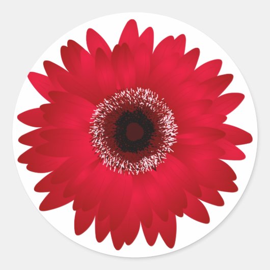 Red Gerbera Daisy Runder Aufkleber (Vorderseite)