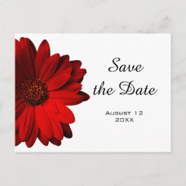Red Gerbera Daisy Save the Date Postcard Ankündigungspostkarte