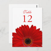 Red Gerbera Daisy Tischnummer Card Flat (Vorne/Hinten)