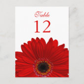 Red Gerbera Daisy Tischnummer Card Flat (Vorderseite)