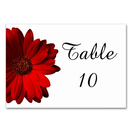 Red Gerbera Daisy Wedding Table Card Tischnummer (Rückseite)
