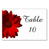 Red Gerbera Daisy Wedding Table Card Tischnummer (Vorderseite)