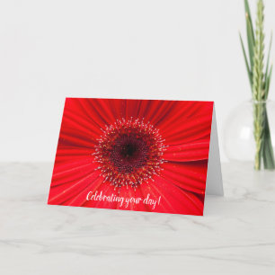 Red Gerbera Daisy zum Geburtstag Karte