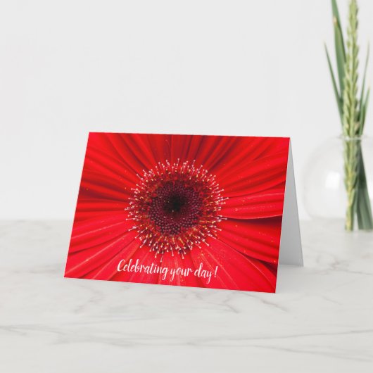 Red Gerbera Daisy zum Geburtstag Karte (Vorderseite)
