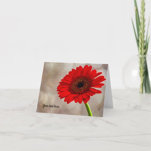 Red Gerbera Faltkarte Karte (Vorderseite)