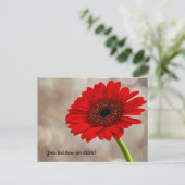 Red Gerbera Postcard Postkarte (Stehend Vorderseite)
