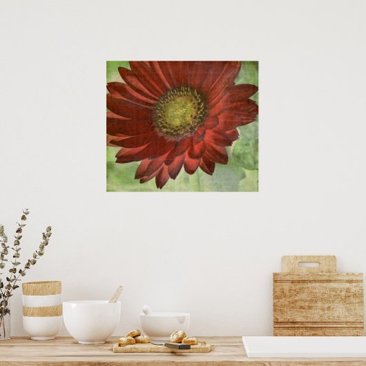 Red Gerbera Poster (Küche)