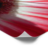Red Gerberas Poster, S Cyr Poster (Ecke)