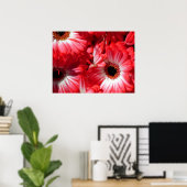 Red Gerberas Poster, S Cyr Poster (Heimbüro)
