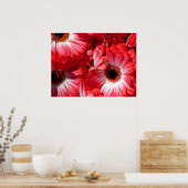 Red Gerberas Poster, S Cyr Poster (Küche)