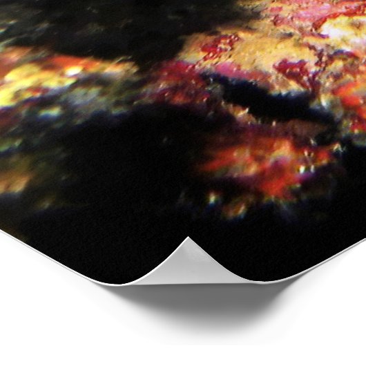 Red Giant Frogfish Poster (Ecke)