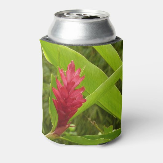 Red Ginger Blume (Alpinia) Tropical Dosenkühler (Kanne Rückseite)