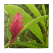 Red Ginger Blume (Alpinia) Tropical Fliese (Vorderseite)