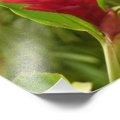 Red Ginger Blume (Alpinia) Tropical Fotodruck (Ecke)