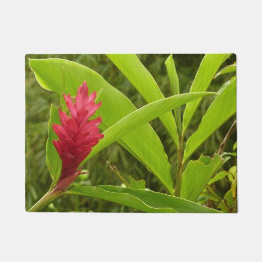 Red Ginger Blume (Alpinia) Tropical Fußmatte (Vorderseite)