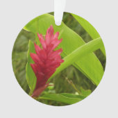 Red Ginger Blume (Alpinia) Tropical Ornament (Vorderseite)