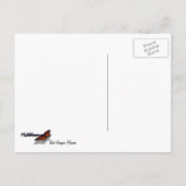 Red Ginger Blume (Alpinia) Tropical Postkarte (Rückseite)