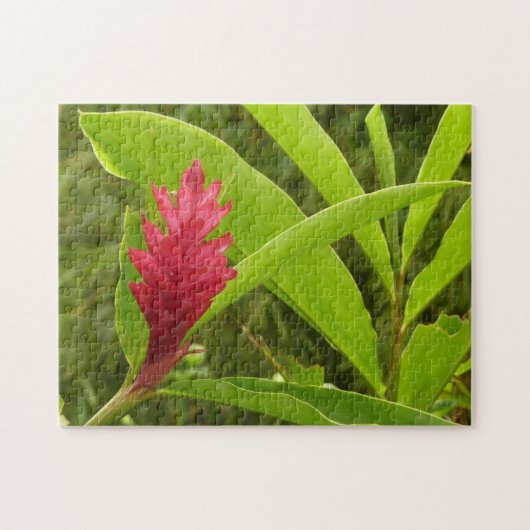 Red Ginger Blume (Alpinia) Tropical Puzzle (Horizontal)