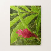 Red Ginger Blume (Alpinia) Tropical Puzzle (Vertikal)