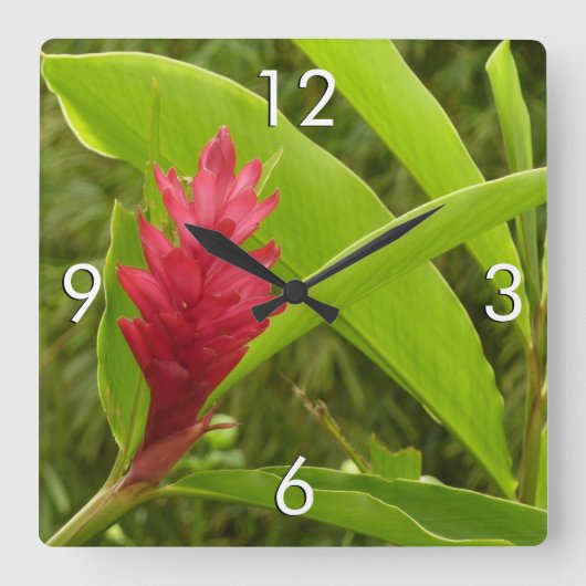 Red Ginger Blume (Alpinia) Tropical Quadratische Wanduhr (Vorderseite)