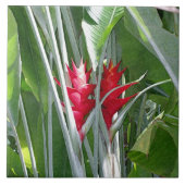 Red Ginger Fliese (Vorderseite)