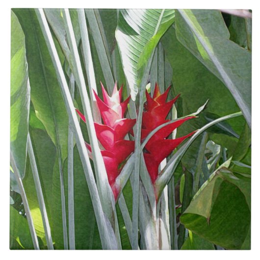 Red Ginger Fliese (Vorderseite)