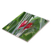 Red Ginger Fliese (Seite)