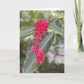 Red Ginger Note Card<Blank Inside> Einladung (Vorderseite)