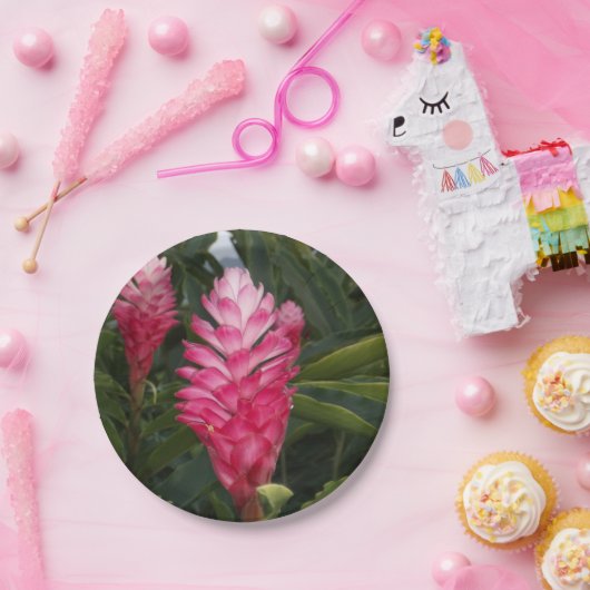 Red Ginger Paper Plate Pappteller (Party)