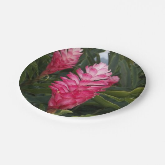 Red Ginger Paper Plate Pappteller (Schrägansicht)