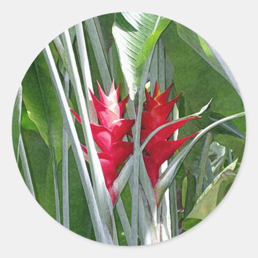 Red Ginger Sticker (Vorderseite)