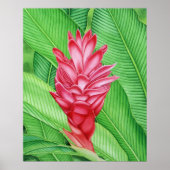 Red Ginger Watercolor Poster (Vorne)