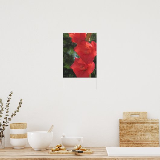 Red Gladiolas Poster Print (Küche)
