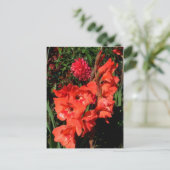 Red Gladiolas Postkarte (Stehend Vorderseite)