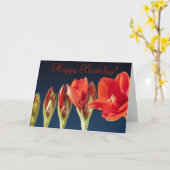 Red Gladiolus Birthday Card Karte (Gelbe Blume)
