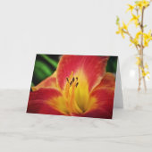 Red Gold Lilie Blume Karte (Gelbe Blume)