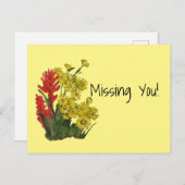 Red Gold Rosy Fireweed Aster Postkarte (Vorne/Hinten)