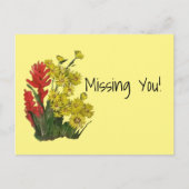 Red Gold Rosy Fireweed Aster Postkarte (Vorderseite)